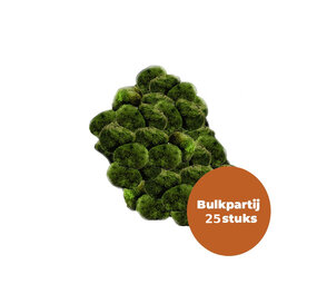 Waterplant Moosball Chladoflora XXL 7-9cm Großpackung 25 Stück Waterplant Moosball Chladoflora XXL 7-9cm Großpackung 25 Stück