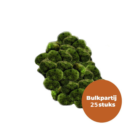 Wasserpflanze Moosball Chladoflora XXL 7-9cm Großpackung 25 Stück Wasserpflanze Moosball Chladoflora XXL 7-9cm Großpackung 25 Stück
