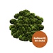 Wasserpflanze Moosball Chladoflora SS 2cm Großpackung 50 Stück Wasserpflanze Moosball Chladoflora SS 2cm Großpackung 50 Stück