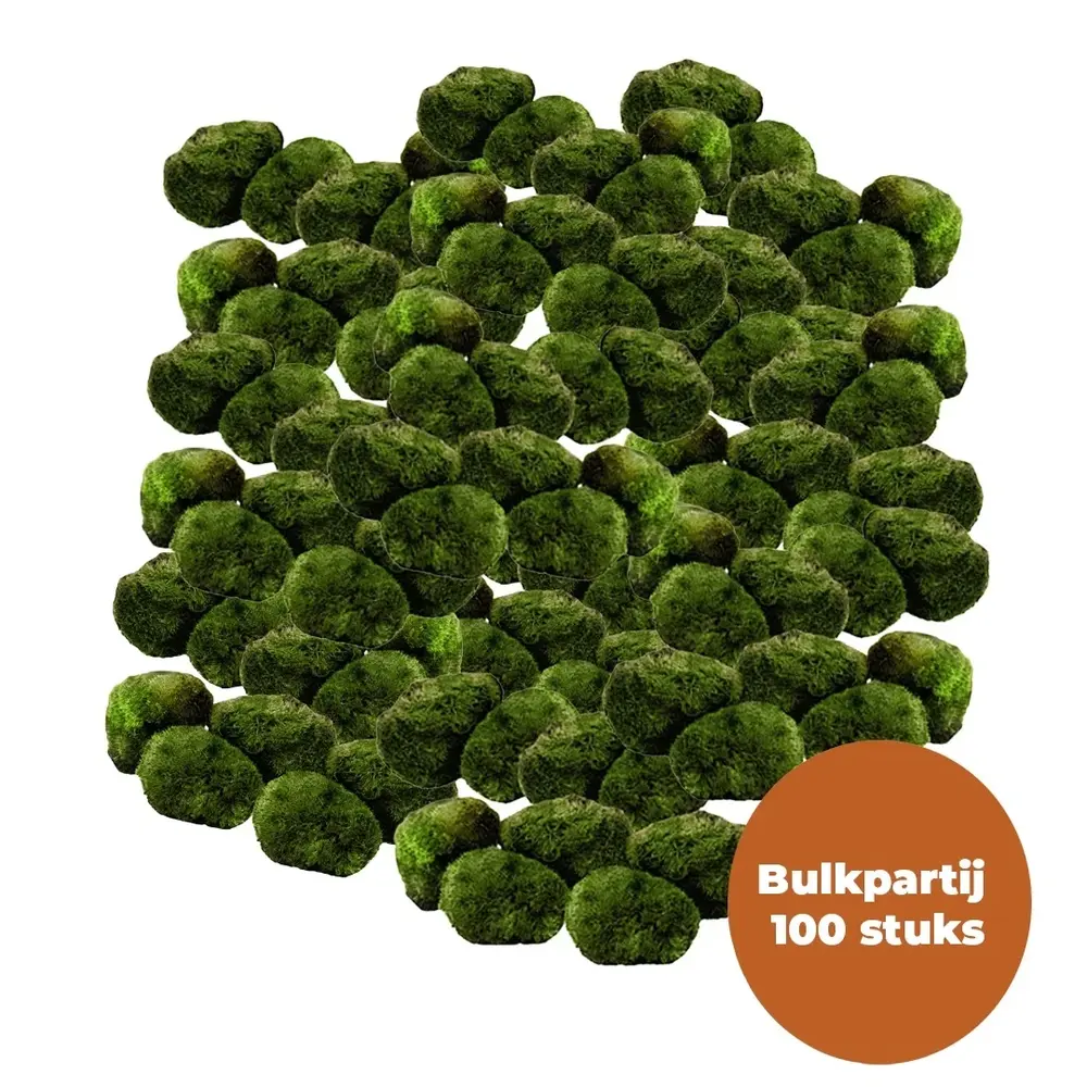 Waterplant Moosball Chladoflora SS 2cm Großpackung 100 Stück
