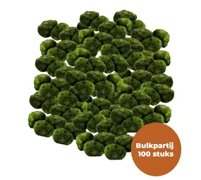 Wasserpflanze Moosball Chladoflora SS 2cm Großpackung 100 Stück Wasserpflanze Moosball Chladoflora SS 2cm Großpackung 100 Stück