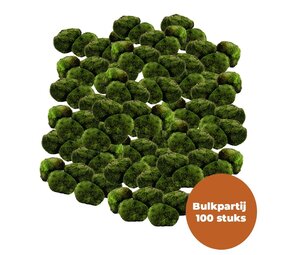 Wasserpflanze Mosbol Chladoflora M 3-4cm Großpackung 100 Stück Wasserpflanze Mosbol Chladoflora M 3-4cm Großpackung 100 Stück