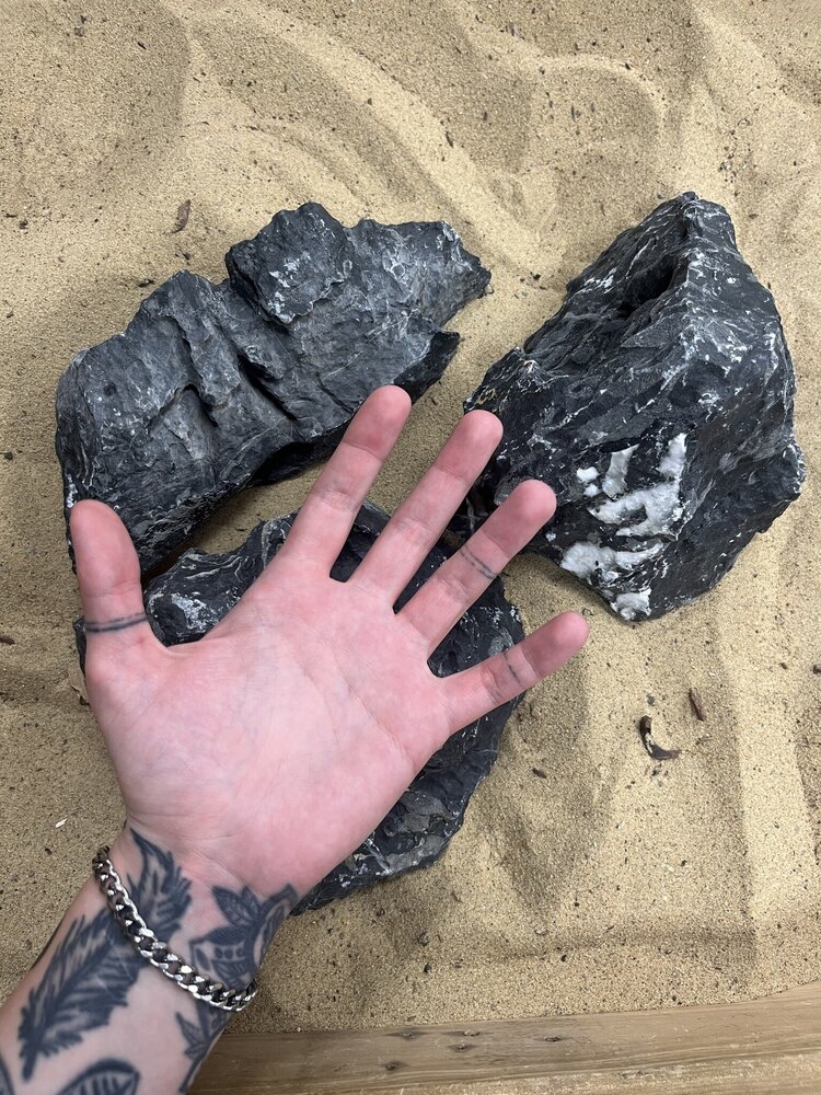 AQXL Selected J Steenbundel Landscape Ryuoh schwarz