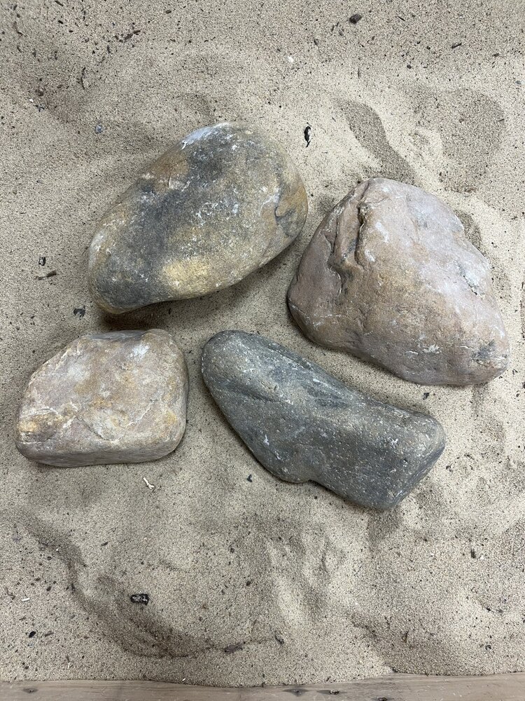 AQXL Selected C Steinbündel Tamago Rock braun 4 Stück AQXL Selected C Steinbündel Tamago Rock braun 4 Stück