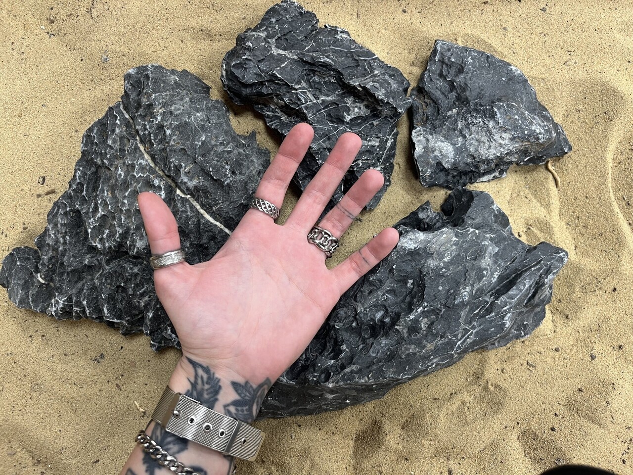 AQXL Selected D Steenbundel Landscape Ryuoh schwarz 4 Stück AQXL Selected D Steenbundel Landscape Ryuoh schwarz 4 Stück