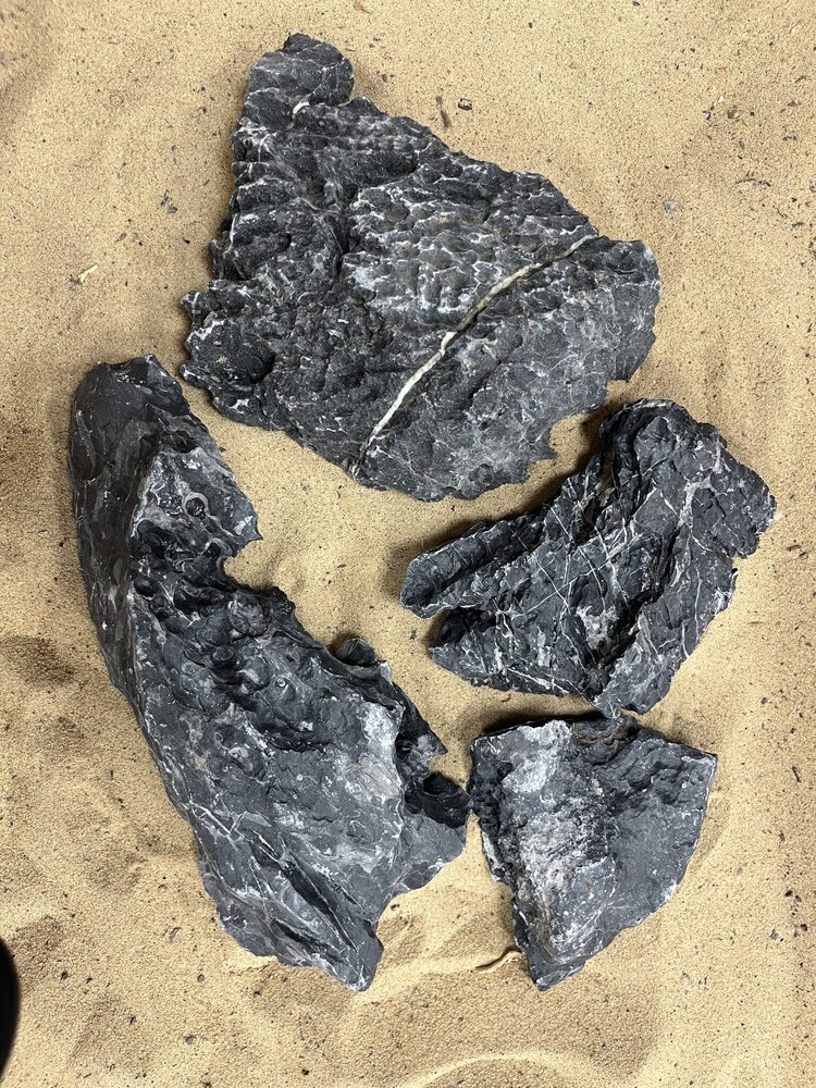 AQXL Selected D Steenbundel Landscape Ryuoh schwarz 4 Stück AQXL Selected D Steenbundel Landscape Ryuoh schwarz 4 Stück