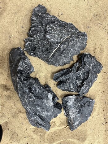 AQXL Selected D Steenbundel Landscape Ryuoh schwarz 4 Stück AQXL Selected D Steenbundel Landscape Ryuoh schwarz 4 Stück