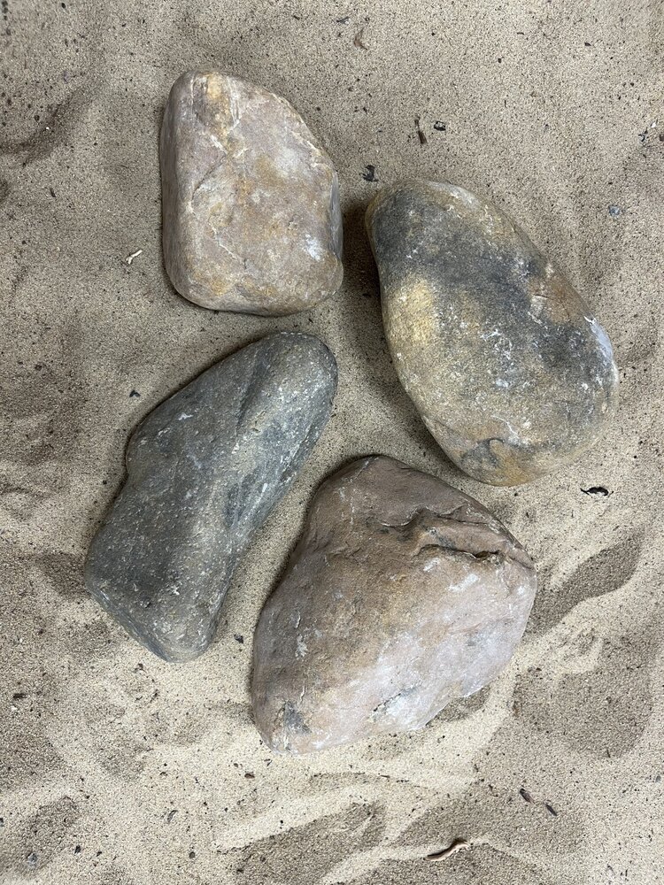 AQXL Selected C Steinbündel Tamago Rock braun 4 Stück AQXL Selected C Steinbündel Tamago Rock braun 4 Stück