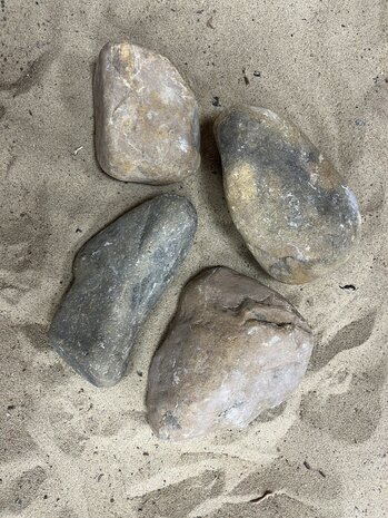 AQXL Selected C Steinbündel Tamago Rock braun 4 Stück AQXL Selected C Steinbündel Tamago Rock braun 4 Stück