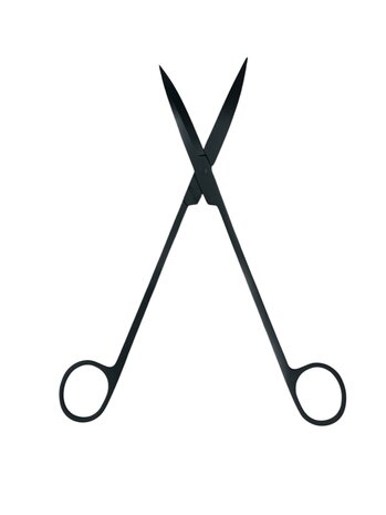 AQXL Selected Schwarze Gebogene Aquascape Schere XL 25cm AQXL Selected Schwarze Gebogene Aquascape Schere XL 25cm