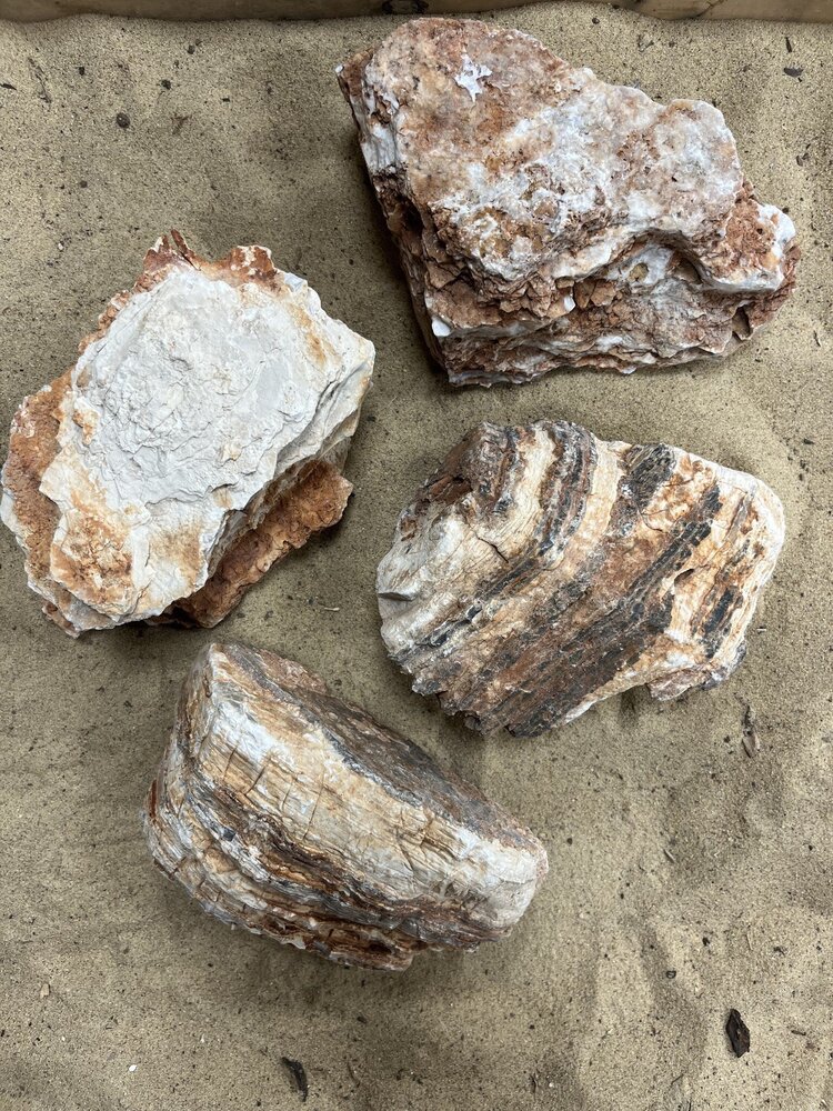 AQXL Selected D Steenbundel Grand Canyon braun 4 Stück