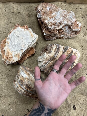 AQXL Selected D Steenbundel Grand Canyon braun 4 Stück