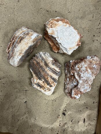 AQXL C Steingruppe Grand Canyon braun 4 Stück AQXL C Steingruppe Grand Canyon braun 4 Stück