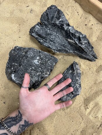 AQXL E Steinbündel Mini Landscape schwarz 3 Stück