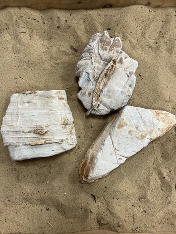 AQXL A Steenbundel Grand Canyon weiß 3 Stück