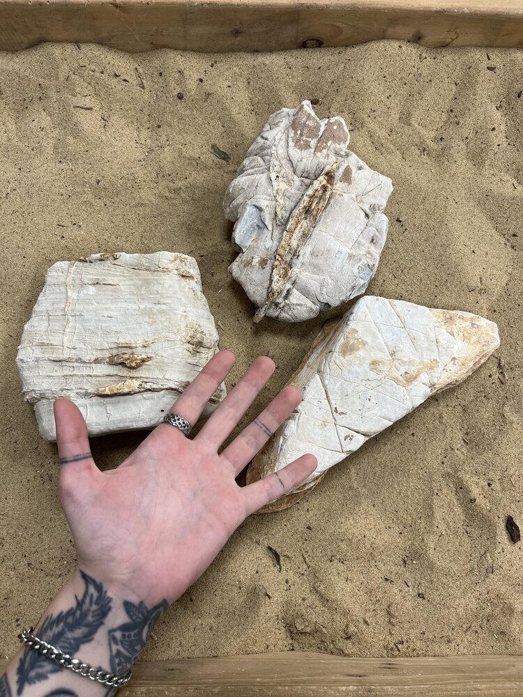 AQXL A Steenbundel Grand Canyon weiß 3 Stück