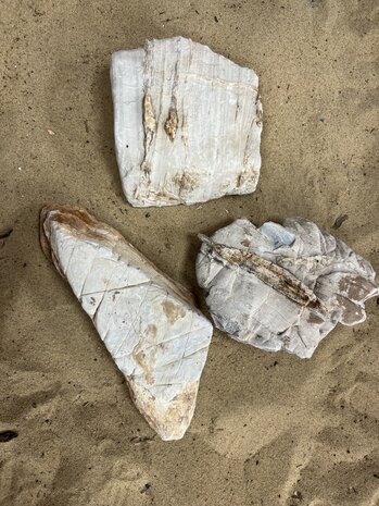 AQXL A Steenbundel Grand Canyon weiß 3 Stück