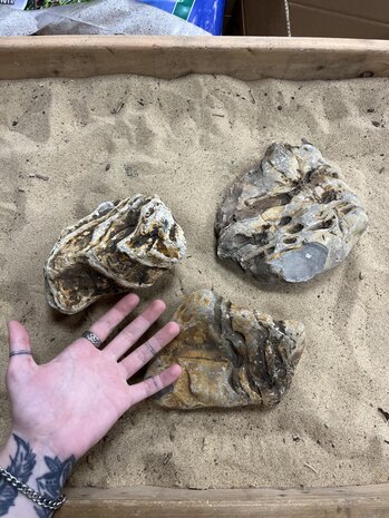 AQXL A Steenbundel Kowloon Rock 3 Stück