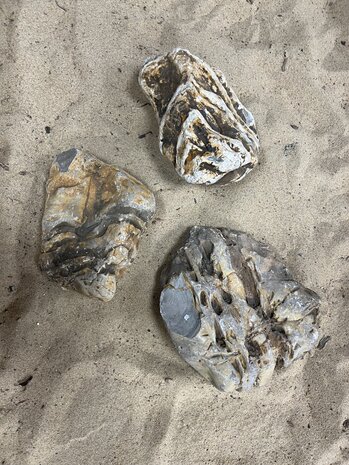 AQXL A Steenbundel Kowloon Rock 3 Stück