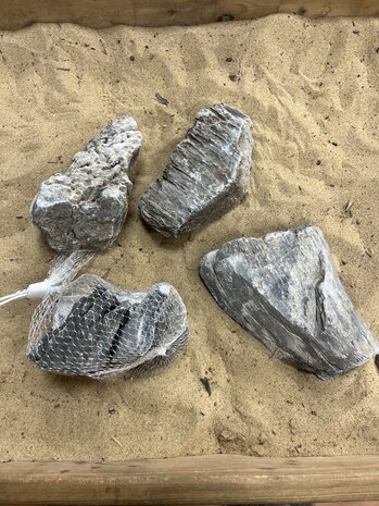 AQXL D Steenbundel Ryuoh Stein grau 4 Stück