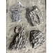 AQXL F Steinbündel Dragon Rock braun 4 Stück AQXL F Steinbündel Dragon Rock braun 4 Stück