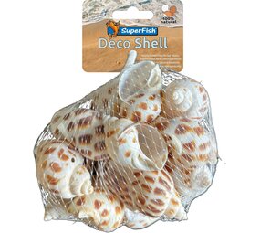 Superfish deko spirale muschel gestreift