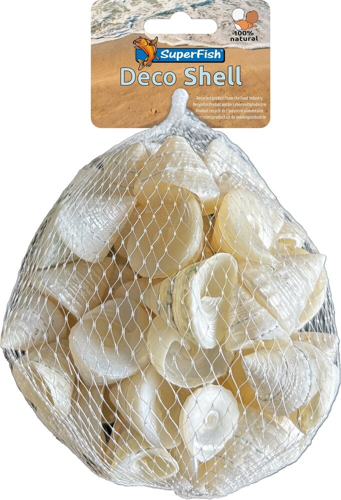 Superfish deko muschel spirale weiß
