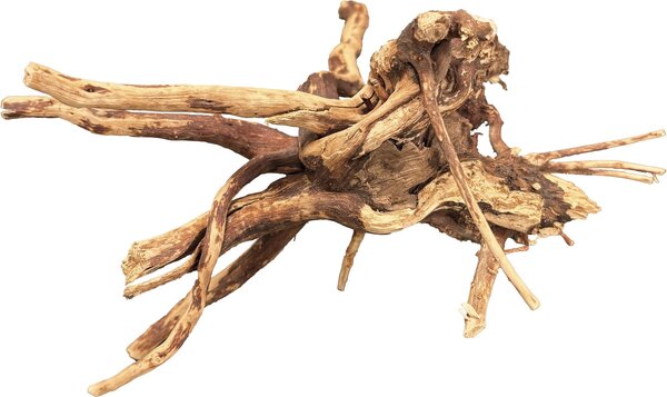 Superfish bio art spider wood 10-15 cm