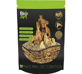 Superfish bio art dragon rock