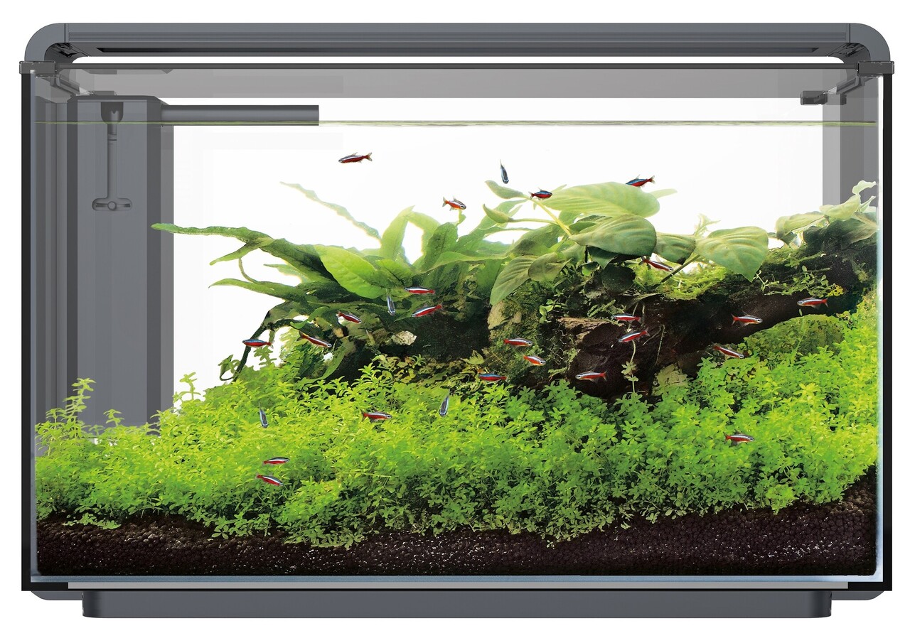 Superfish Home ProLED 85 Aquarium Schwarz Superfish Home ProLED 85 Aquarium Schwarz