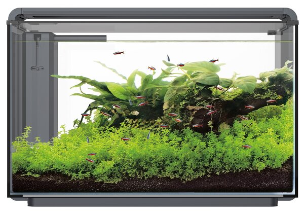 Superfish Home ProLED 85 Aquarium Schwarz Superfish Home ProLED 85 Aquarium Schwarz