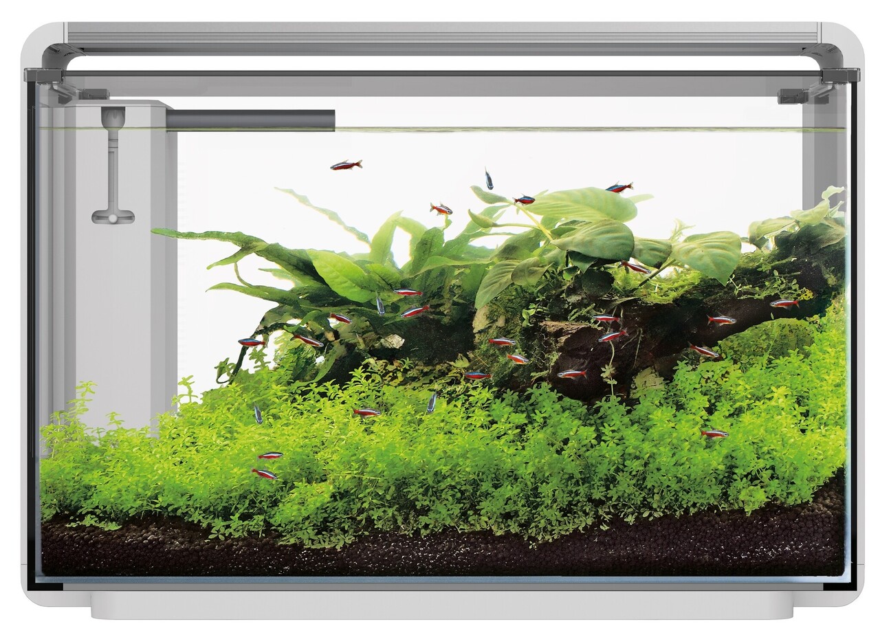 Superfish Home ProLED 65 Aquarium Weiß Superfish Home ProLED 65 Aquarium Weiß