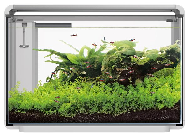 Superfish Home ProLED 65 Aquarium Weiß Superfish Home ProLED 65 Aquarium Weiß