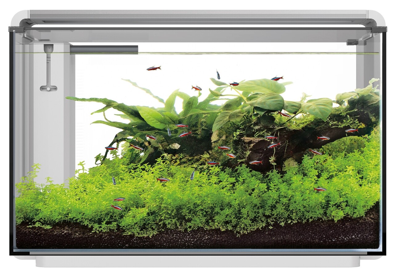 Superfish Home ProLED 85 Aquarium Weiß Superfish Home ProLED 85 Aquarium Weiß
