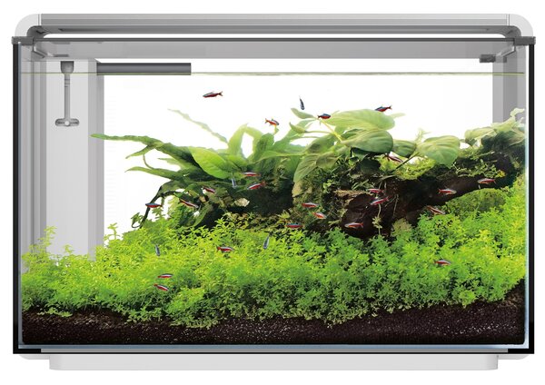 Superfish Home ProLED 85 Aquarium Weiß Superfish Home ProLED 85 Aquarium Weiß