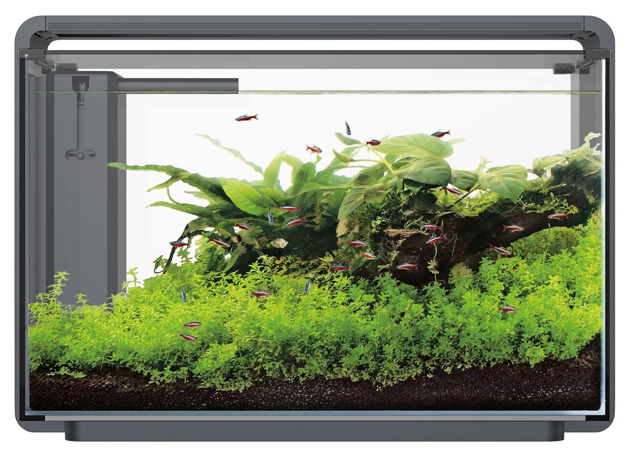 Superfish Home ProLED 65 Aquarium Schwarz Superfish Home ProLED 65 Aquarium Schwarz