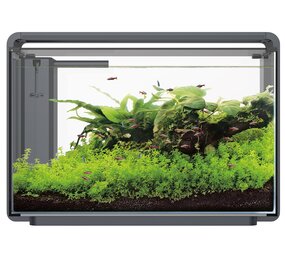 Superfish Home ProLED 65 Aquarium Schwarz Superfish Home ProLED 65 Aquarium Schwarz