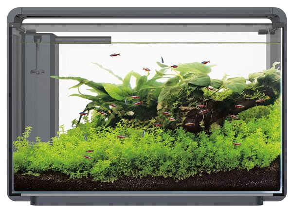 Superfish Home ProLED 65 Aquarium Schwarz Superfish Home ProLED 65 Aquarium Schwarz