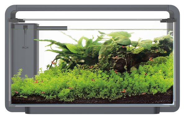Superfish Home ProLED 30 Aquarium Schwarz