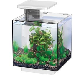 Superfish Qubiq 15 LED Weiß Superfish Qubiq 15 LED Weiß