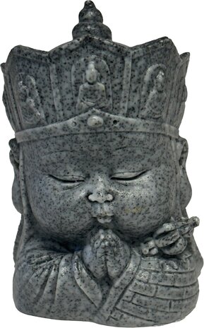 Superfish Eco Deco Mönchsgesicht