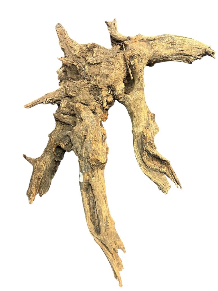 AquastoreXL Corbo Root XL NR06 3,4kg AquastoreXL Corbo Root XL NR06 3,4kg