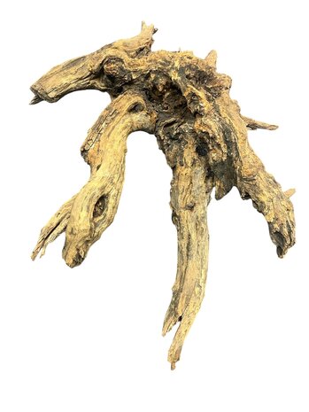 AquastoreXL Corbo Root XL NR06 3,4kg AquastoreXL Corbo Root XL NR06 3,4kg