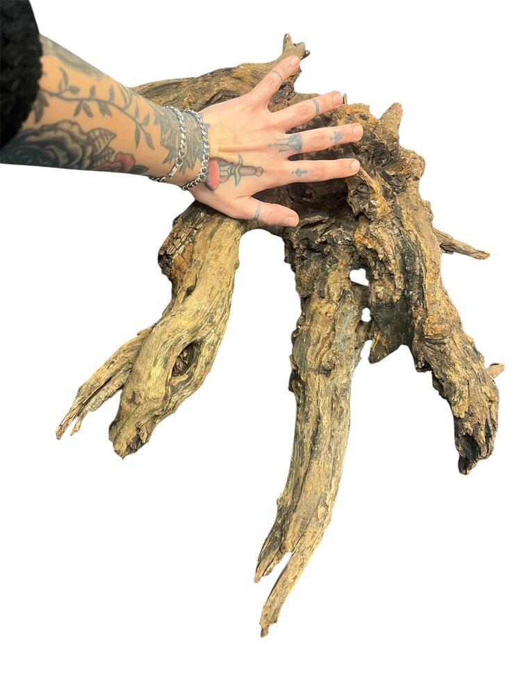 AquastoreXL Corbo Root XL NR06 3,4kg AquastoreXL Corbo Root XL NR06 3,4kg