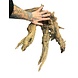 AquastoreXL Corbo Root XL NR06 3,4kg AquastoreXL Corbo Root XL NR06 3,4kg