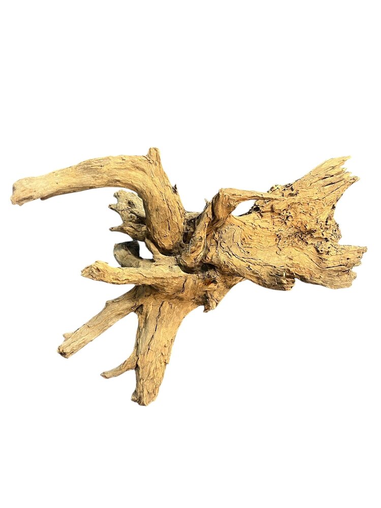 AquastoreXL Corbo Root XL NR05 8,6kg AquastoreXL Corbo Root XL NR05 8,6kg