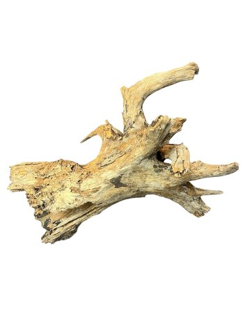 AquastoreXL Corbo Root XL NR05 8,6kg AquastoreXL Corbo Root XL NR05 8,6kg