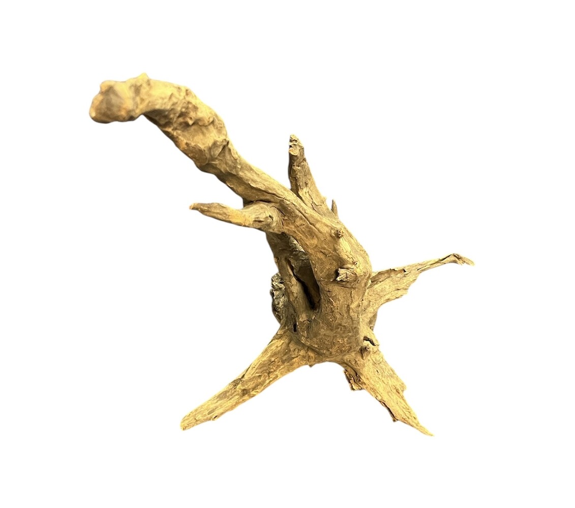 AquastoreXL Corbo Root XL NR04 4,7kg