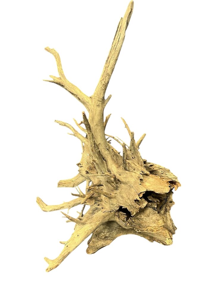 AquastoreXL Corbo Root XL NR03 7,6kg