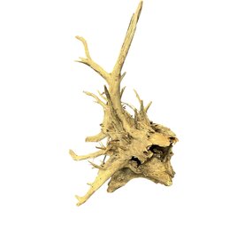 AquastoreXL Corbo Root XL NR03 7,6kg AquastoreXL Corbo Root XL NR03 7,6kg